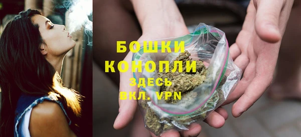 ALPHA PVP Куйбышев