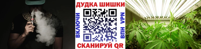 Купить где  Бакал  Конопля сатива 